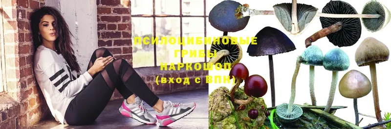 Галлюциногенные грибы Magic Shrooms  это какой сайт  Вихоревка  даркнет сайт  ОМГ ОМГ онион 